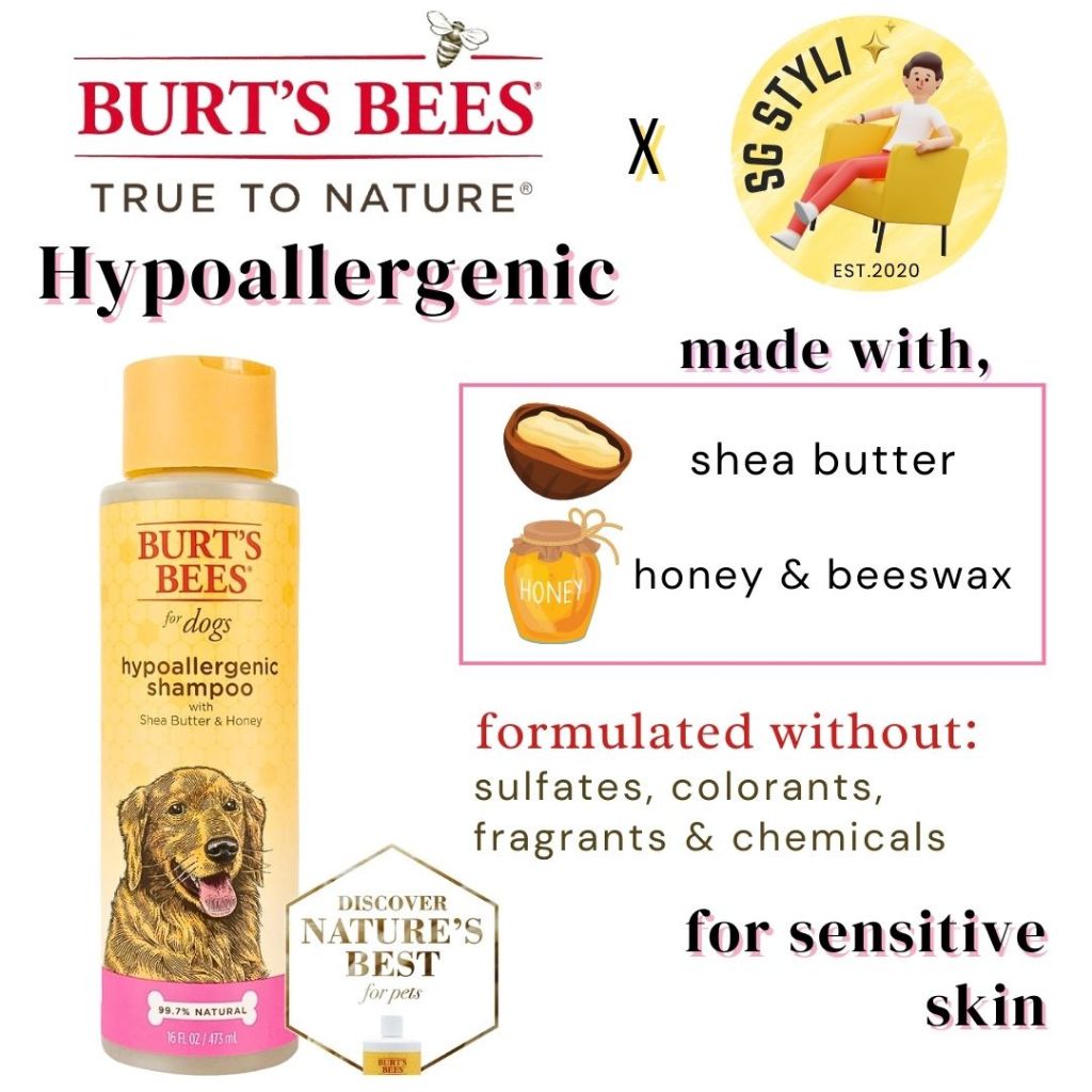 Burt's Bees for Pets Dog Puppies Shampoo Conditioner Spray Brush Essentials, Gentle & Safe pH Neutral