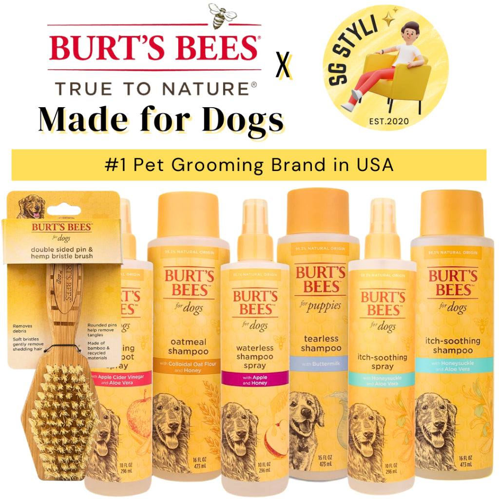 Burt's Bees for Pets Dog Puppies Shampoo Conditioner Spray Brush Essentials, Gentle & Safe pH Neutral