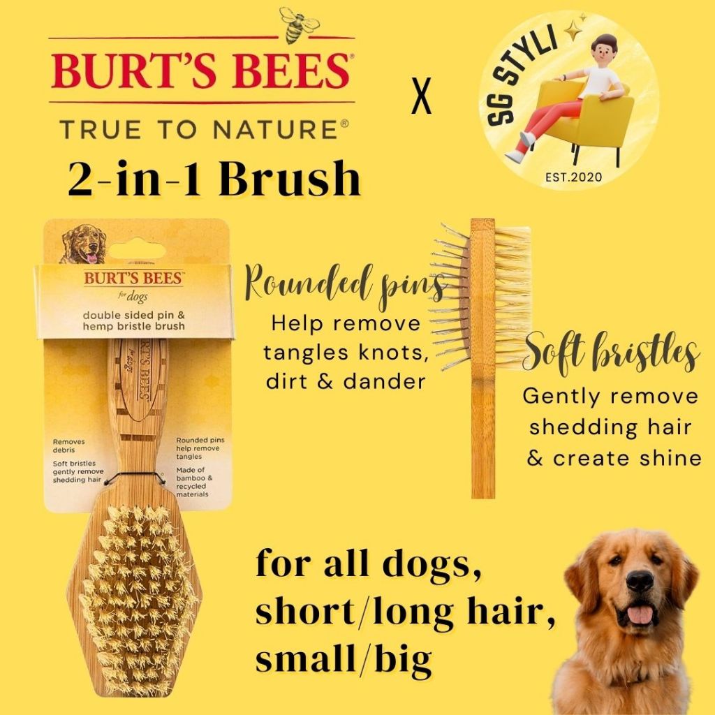 Burt's Bees for Pets Dog Puppies Shampoo Conditioner Spray Brush Essentials, Gentle & Safe pH Neutral